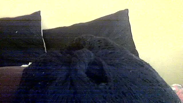 AnnabigpussyXO from StripChat