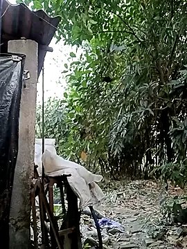 Hotty-rosni on StripChat 